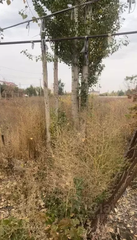 Участок в Астраханская область, Приволжский район, с. Три Протока ... - Фото 2