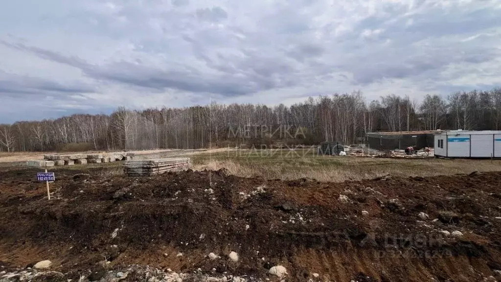 Участок в Тюменская область, Тюменский муниципальный округ, Онегин кп  ... - Фото 0