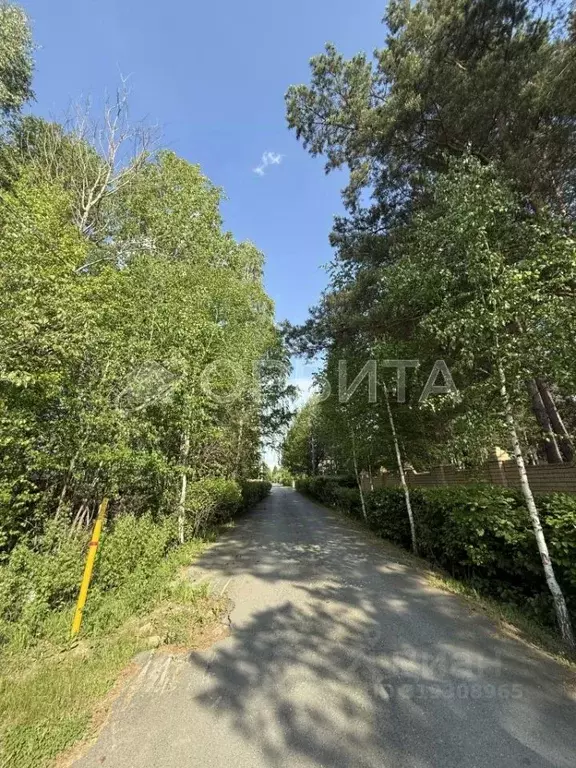 Участок в Тюменская область, Тюменский район, д. Головина  (8.0 сот.) - Фото 1