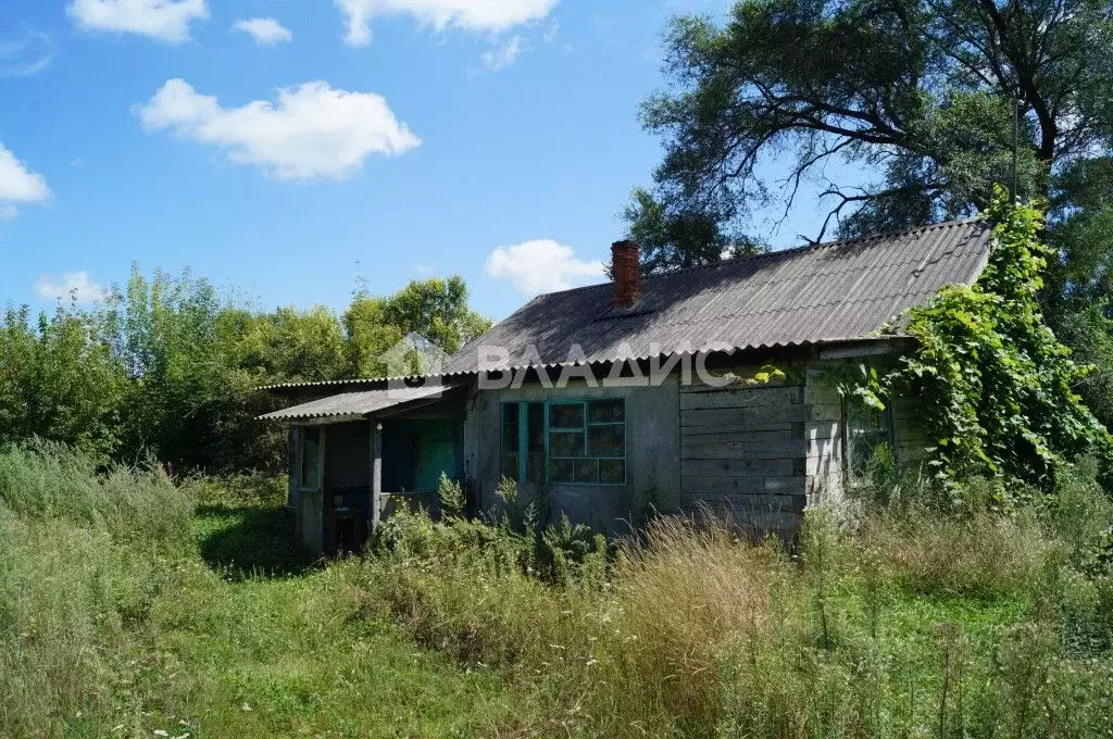 Дом в Приморский край, Михайловский муниципальный округ, с. Павловка  ... - Фото 0