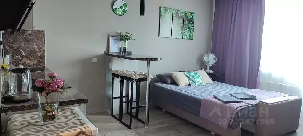 Студия Ярославская область, Ярославль ул. Майорова, 4А (30.0 м) - Фото 2