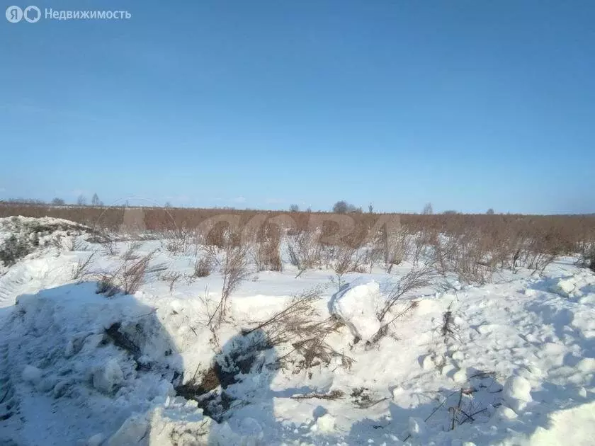 Участок в Тюменский район, деревня Криводанова (5 м) - Фото 0