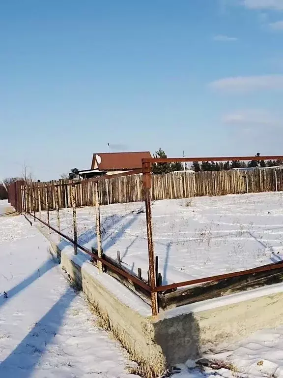 Участок в Забайкальский край, Читинский район, Земляничное ДНТ 43 ... - Фото 2