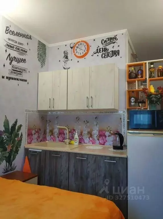 Студия Краснодарский край, Анапа ул. Шевченко, 68А (17.0 м) - Фото 2