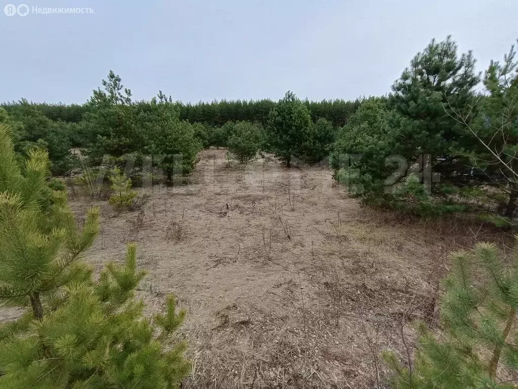 Участок в Киржачский район, муниципальное образование Филипповское, ... - Фото 0
