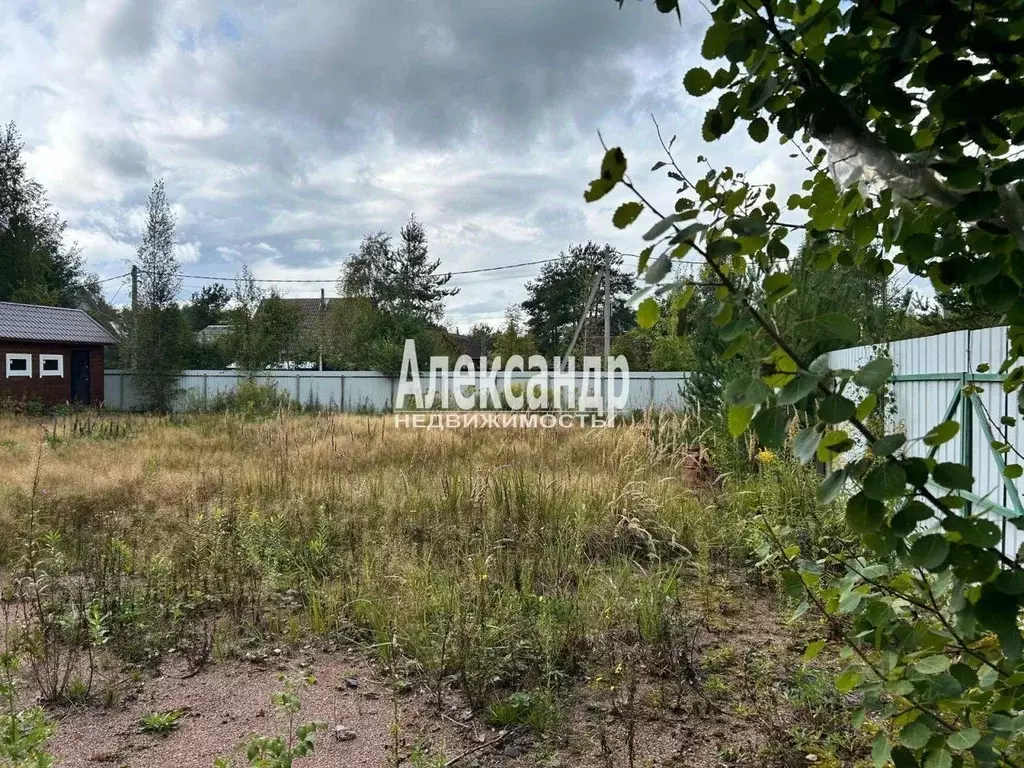 Участок в Ленинградская область, Всеволожский район, Сертоловское ... - Фото 2