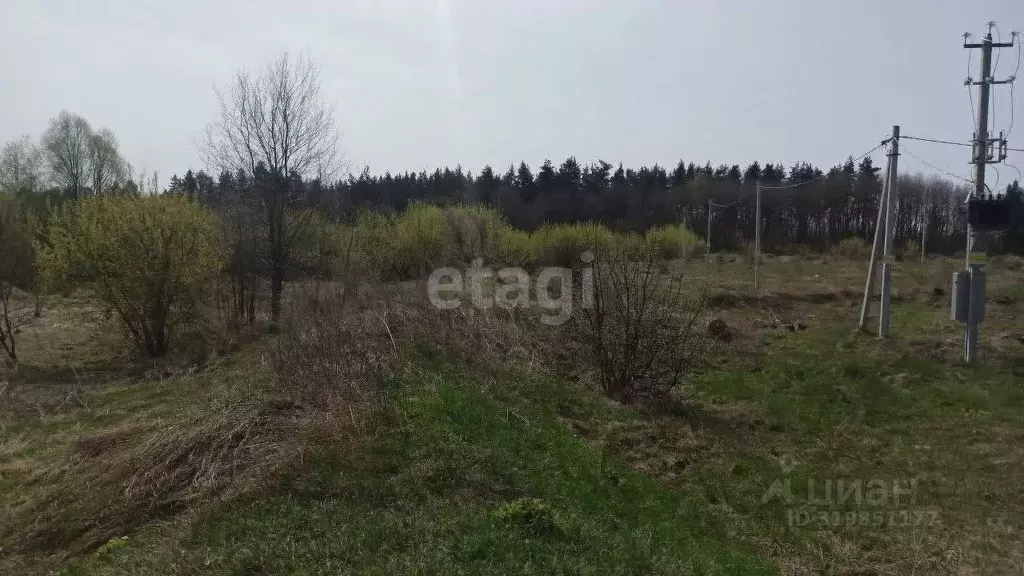 Участок в Воронежская область, Новоусманский район, пос. Отрадное ул. ... - Фото 0