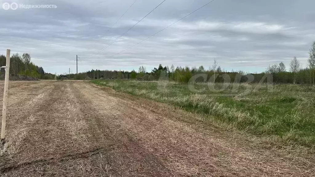 Участок в Свердловская область, Тугулымский муниципальный округ, ... - Фото 1