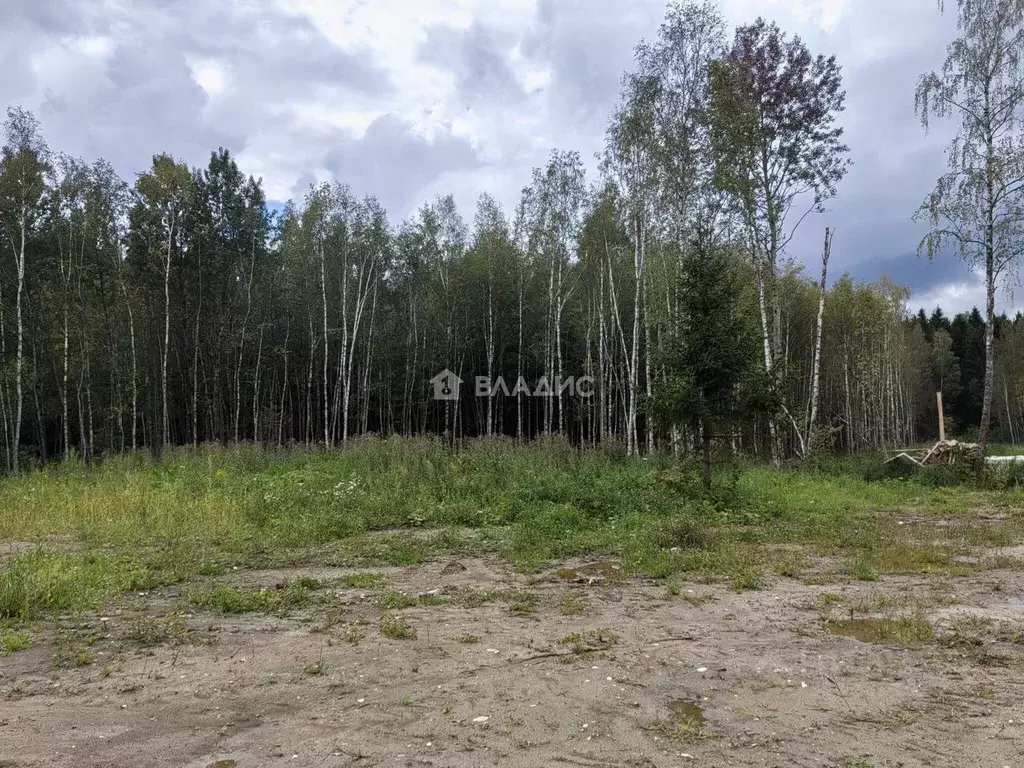Участок в Калужская область, Калуга ул. Полесская (6.0 сот.) - Фото 2