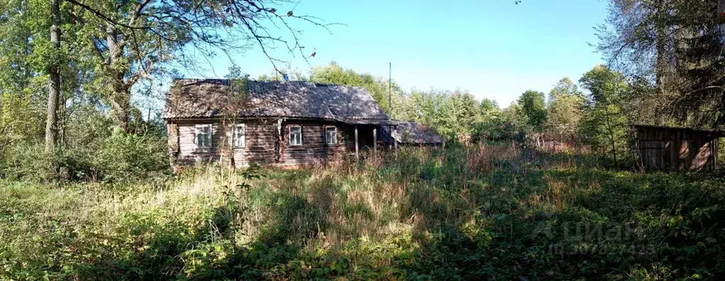 Дом в Новгородская область, Шимский район, Подгощское с/пос, д. Любыни ... - Фото 1