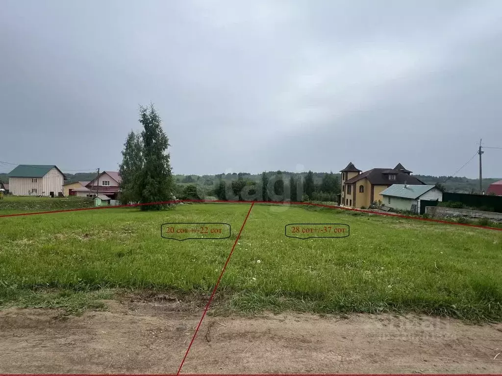 Участок в Вологодская область, Шекснинский муниципальный округ, ... - Фото 1