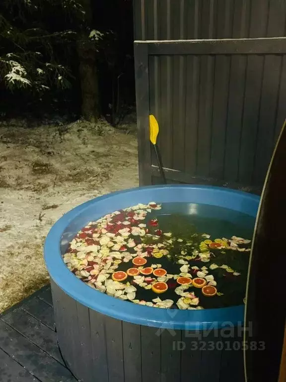 Дом в Ленинградская область, Приморск  (28 м) - Фото 2