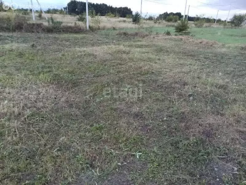 Участок в Старооскольский городской округ, село Новокладовое (15 м) - Фото 1