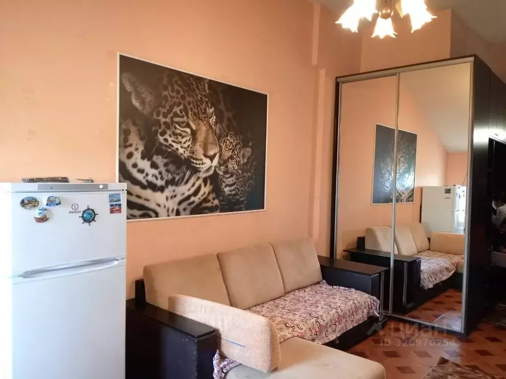 Студия Московская область, Серпухов ул. Химиков, 8 (22.0 м) - Фото 2