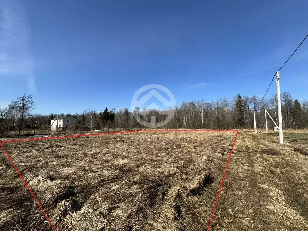 Участок в Московская область, Клин городской округ, Весна садовое ... - Фото 1