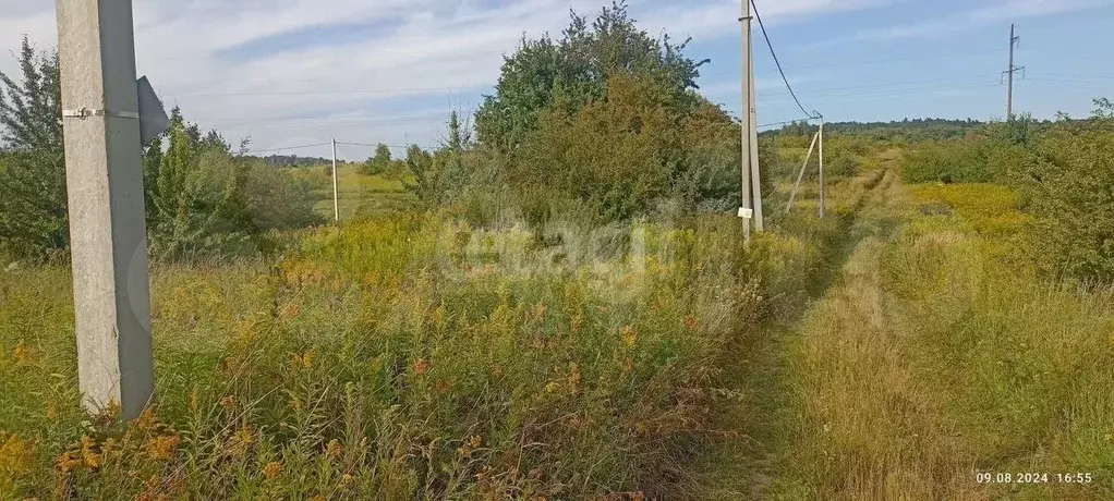 Участок 6 сот. (СНТ, ДНП) - Фото 0