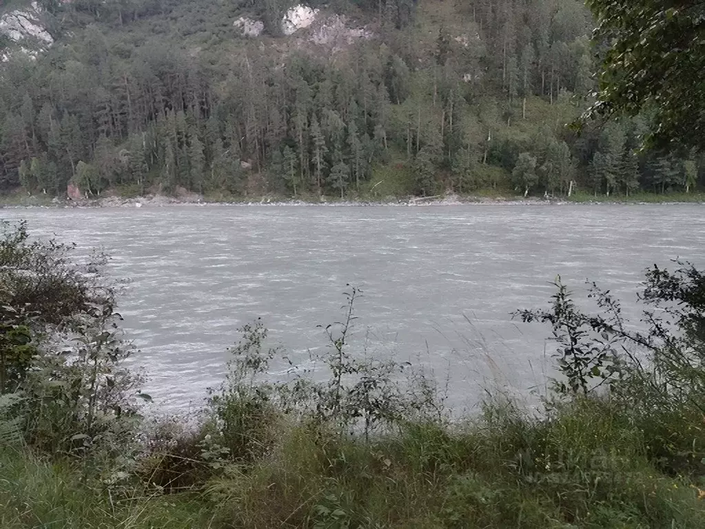 Участок в Алтай, Чемальский район, пос. Усть-Сема  (2.0 сот.) - Фото 1