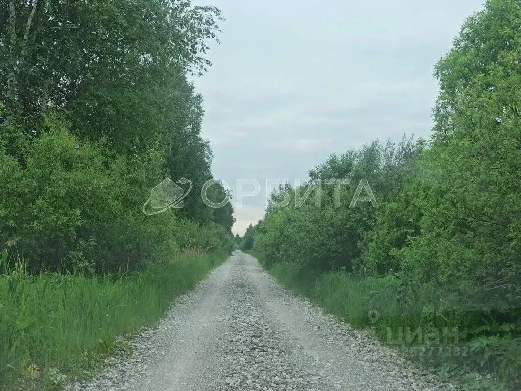 Участок в Тюменская область, Нижнетавдинский муниципальный округ, ... - Фото 1