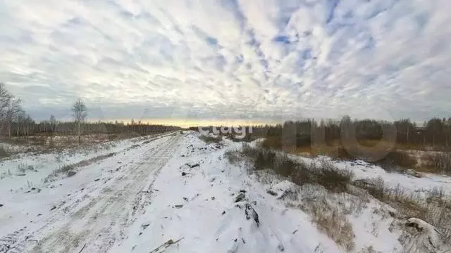 Участок 100 сот. (промназначения) - Фото 1