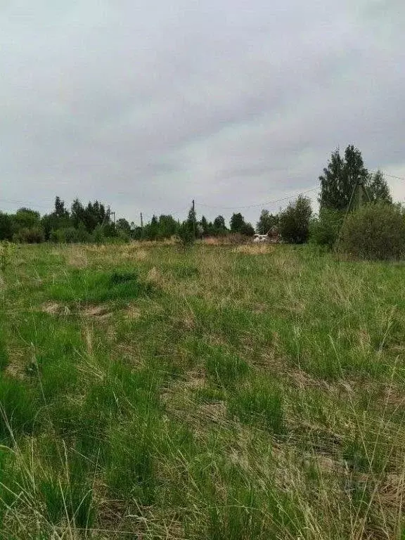 Участок в Вологодская область, пос. Непотягово ул. Майская (10.0 сот.) - Фото 2