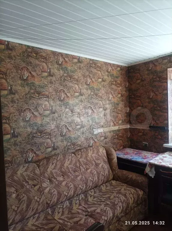 Комната 19,5 м в 1-к., 5/5 эт. - Фото 1