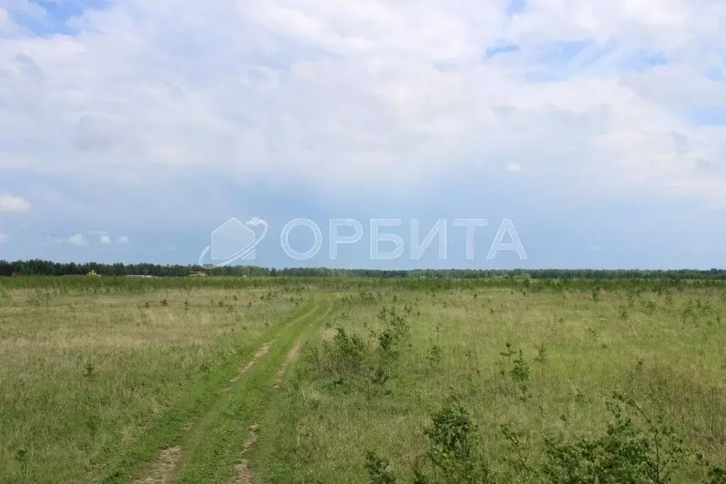 Участок в Свердловская область, Слободо-Туринский район, ... - Фото 0