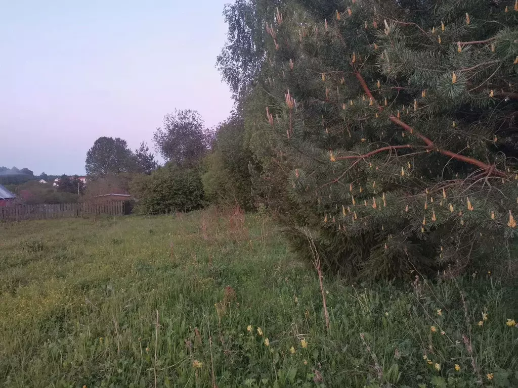 Участок в Московская область, Ступино городской округ, д. Каверино  ... - Фото 0
