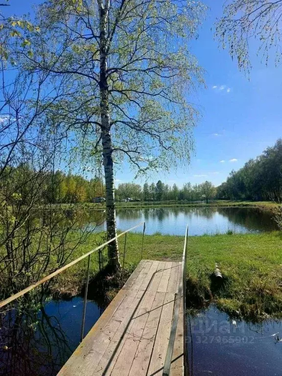 Участок в Новосибирская область, Новосибирский район, Кубовинский ... - Фото 1