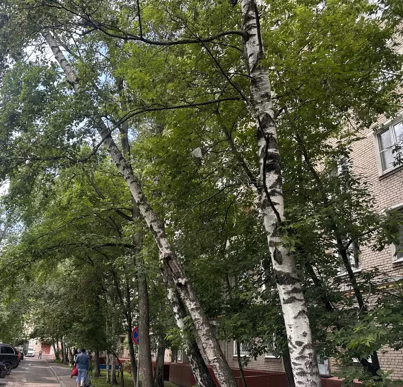 Продаётся квартира-студия, 12 м - Фото 0