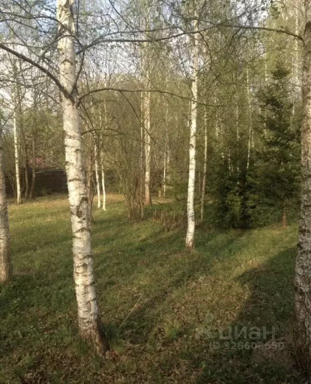 Участок в Московская область, Ступино городской округ, Калинушка СНТ ... - Фото 2