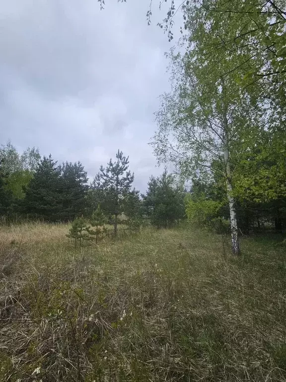 Участок в Московская область, Богородский городской округ, Форос СНТ ... - Фото 0