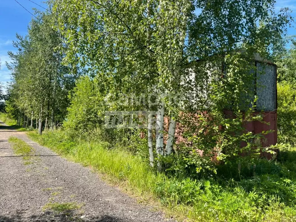 Участок в Ленинградская область, Кировский район, Мгинское городское ... - Фото 0