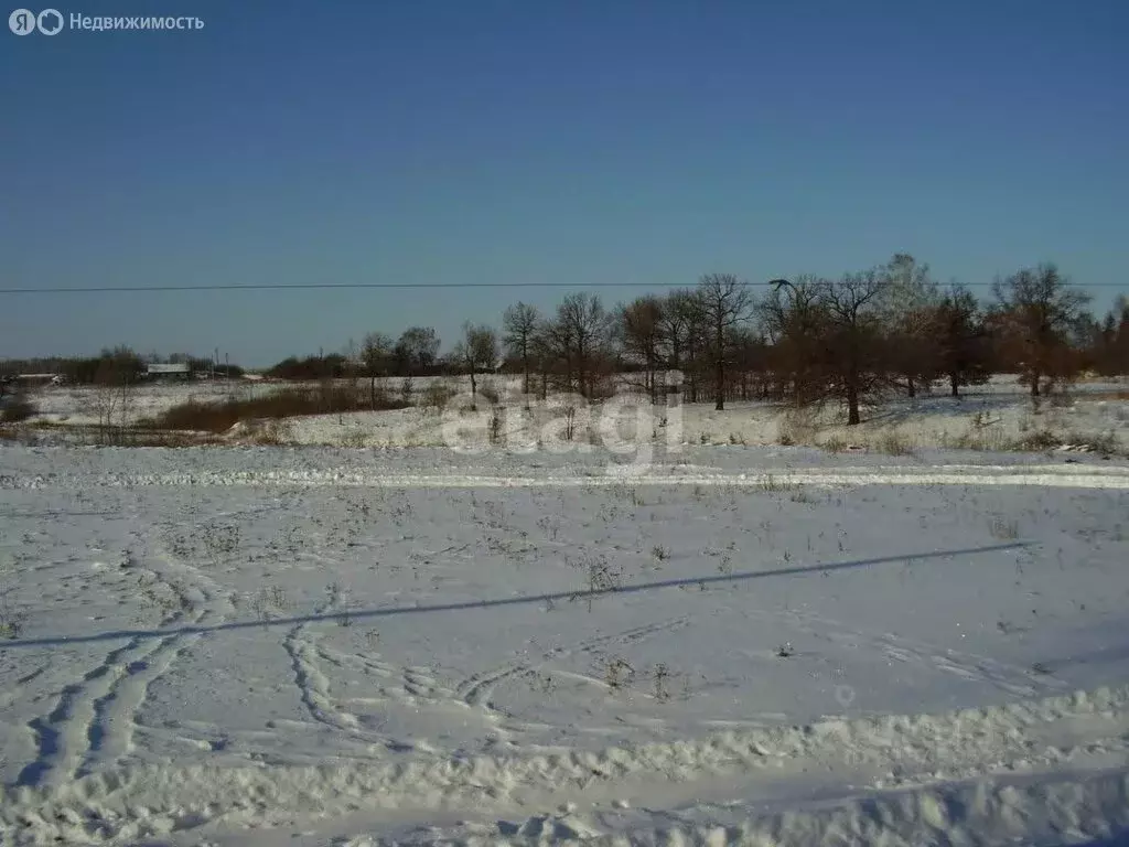 Участок в Тульская область, городской округ Алексин, деревня Егнышёвка ... - Фото 2