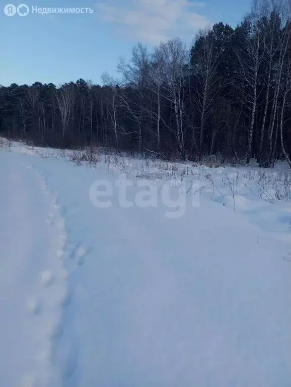 Участок в Миасс, Западный территориальный округ (10 м) - Фото 1