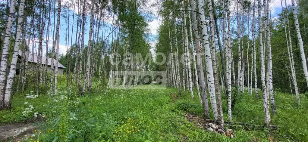 Участок в Владимирская область, Судогодский район, Вяткинское ... - Фото 0