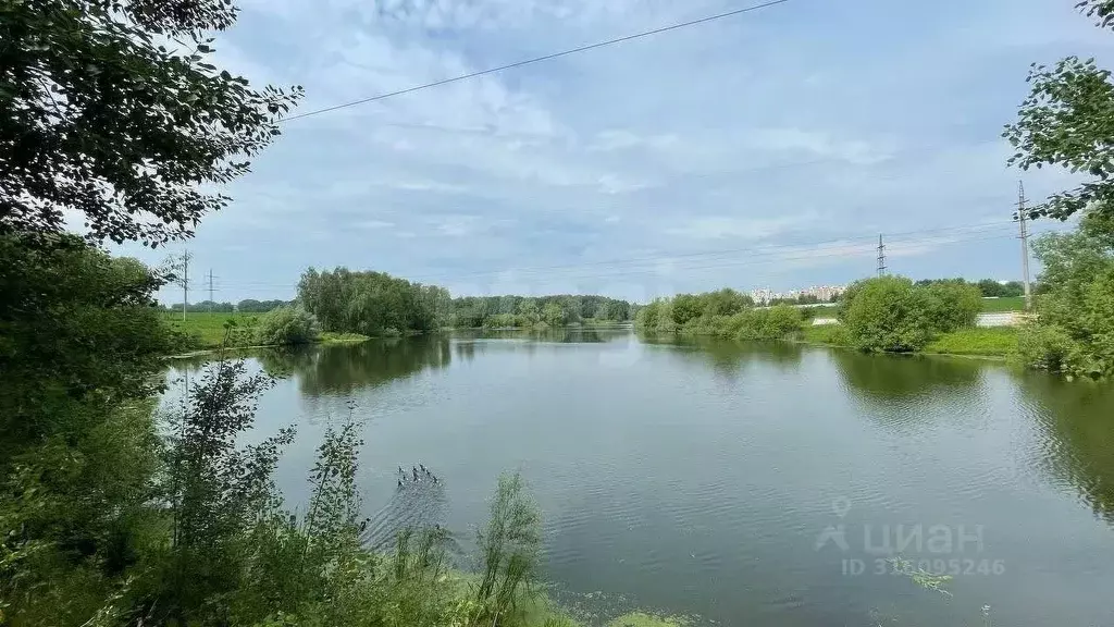 Дом в Московская область, Ленинский городской округ, д. Картино 103Ж ... - Фото 0