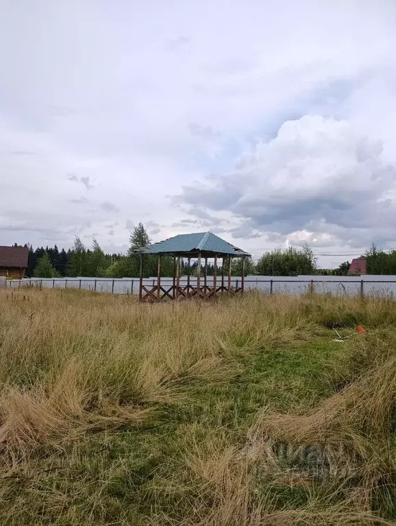 Участок в Московская область, Дмитровский муниципальный округ, СНТ ... - Фото 2