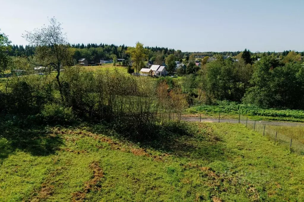 Участок в Московская область, Истра муниципальный округ, д. Давыдково  ... - Фото 2