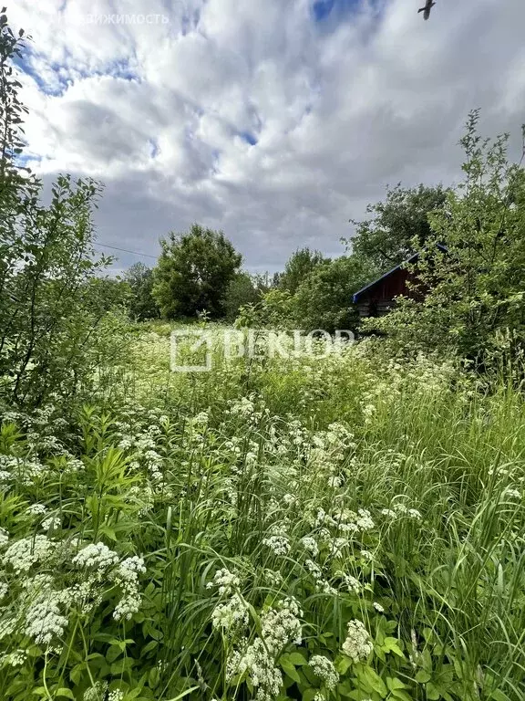 Дом в Кострома, садоводческое товарищество Текстильщик-2, 85 (100 м) - Фото 0