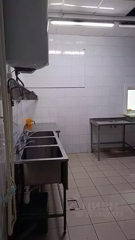 Помещение свободного назначения в Новосибирская область, Новосибирск ... - Фото 2