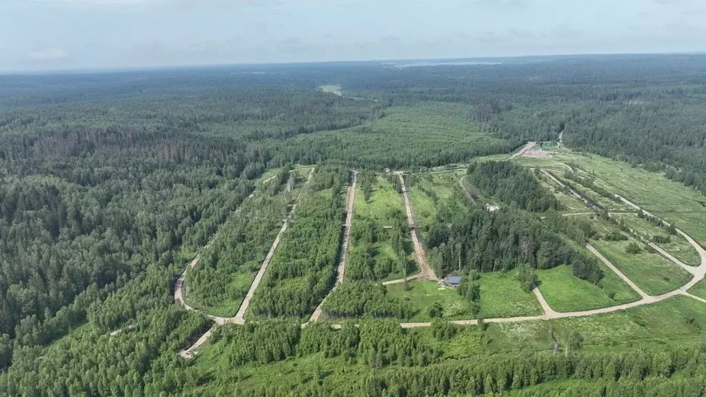 Участок в Ленинградская область, Приозерский район, Раздольевское ... - Фото 1