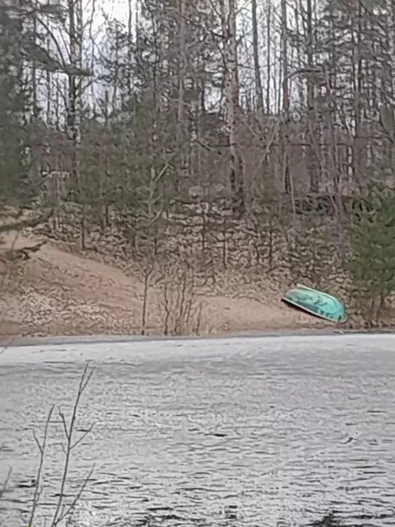 Участок в Ленинградская область, Выборгский район, Гончаровское с/пос, ... - Фото 2
