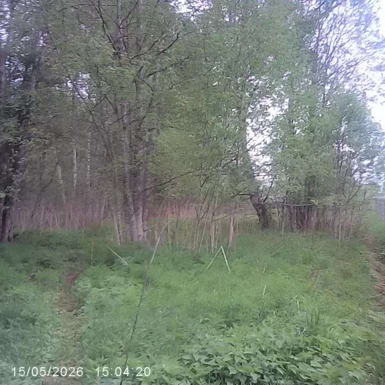 Участок в Московская область, Шаховская муниципальный округ, с. ... - Фото 2