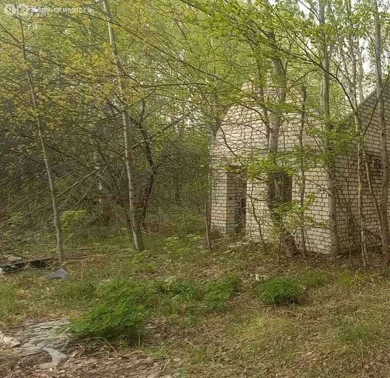 Участок в Нижегородская область, городской округ Бор, деревня Петрово, ... - Фото 1