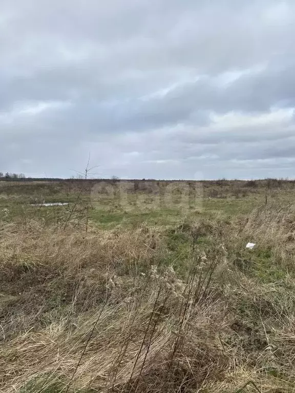 Участок в Калининградская область, Гвардейский муниципальный округ, ... - Фото 1