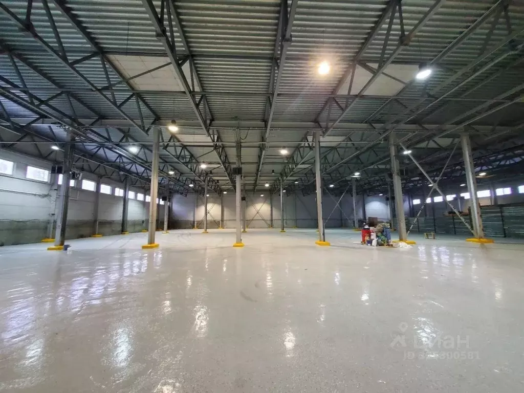 Склад в Санкт-Петербург ул. 3-я Конная Лахта, 48к2 (3250 м) - Фото 1