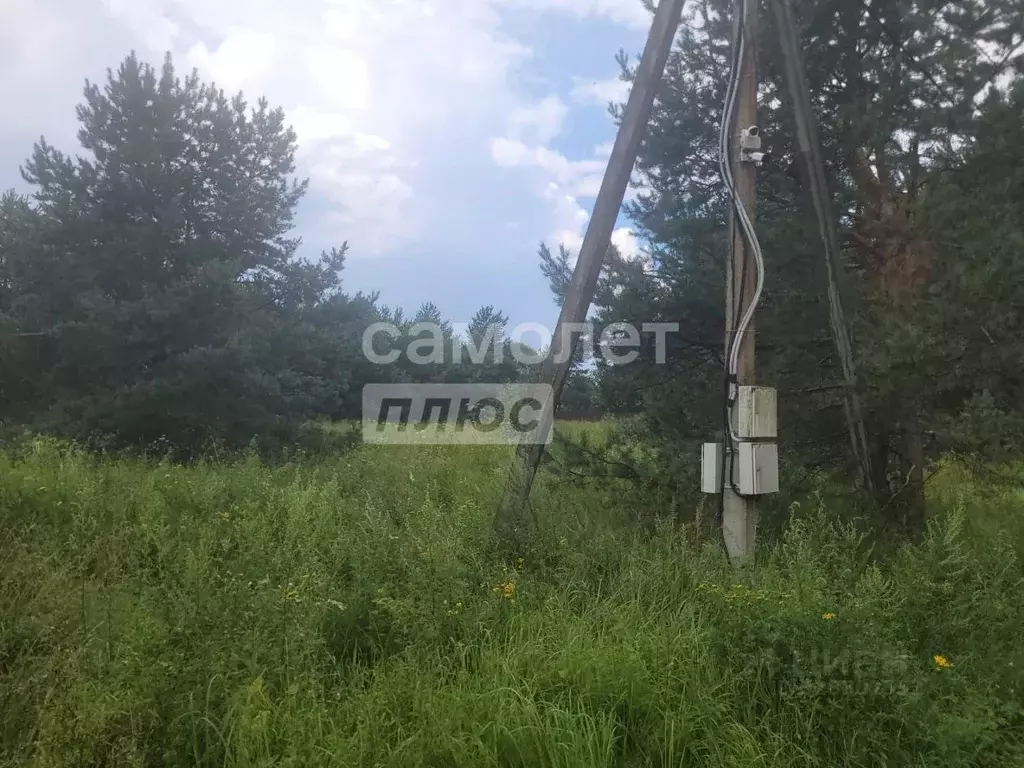 Участок в Калужская область, Дзержинский муниципальный округ, Дворцы ... - Фото 2