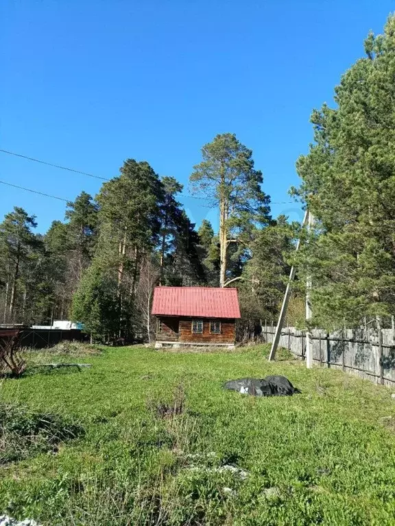 Участок 11,6 сот. (СНТ, ДНП) - Фото 1