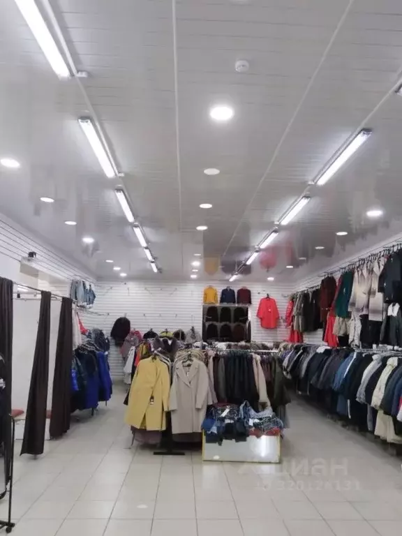 Офис в Курская область, Курск ул. Карла Маркса, 77ВК2 (353 м) - Фото 1