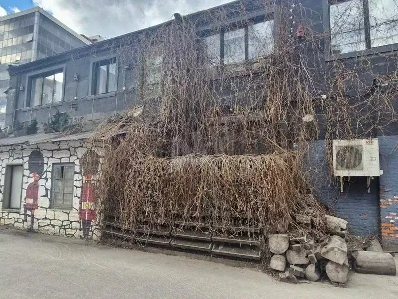 Помещение свободного назначения в Москва Бауманская ул., 11С1 (221 м) - Фото 2